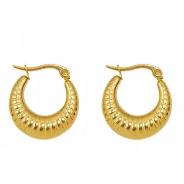 Amanda Hoop Earrings