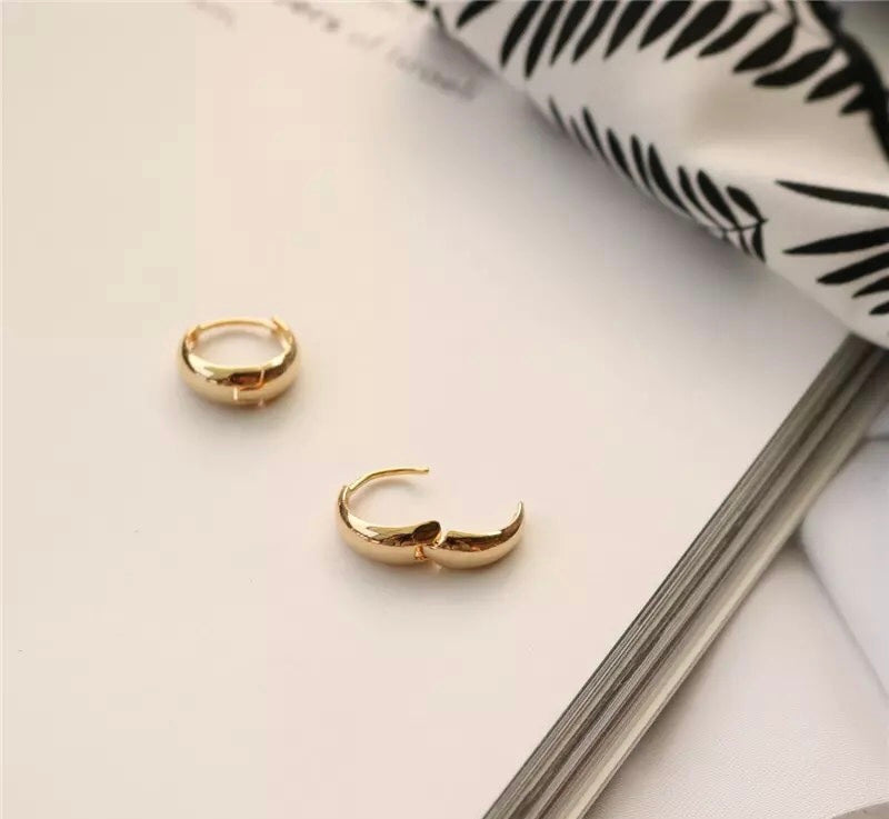 Small Hoop Earrings